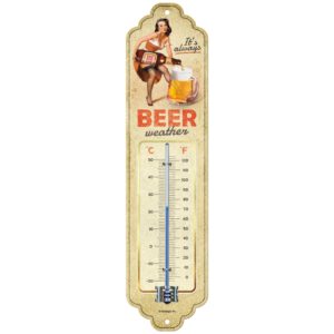 Thermometer Beer Weather